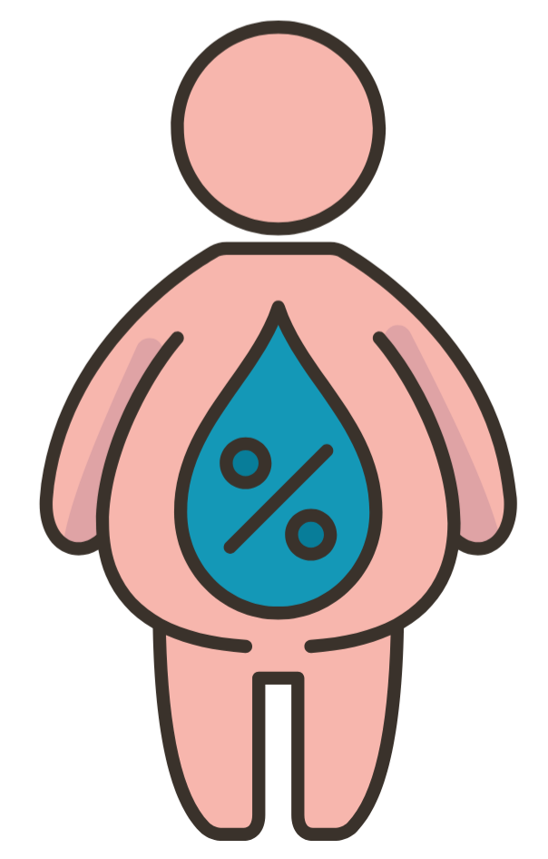 내장지방(뱃살)을 부르는 호르몬