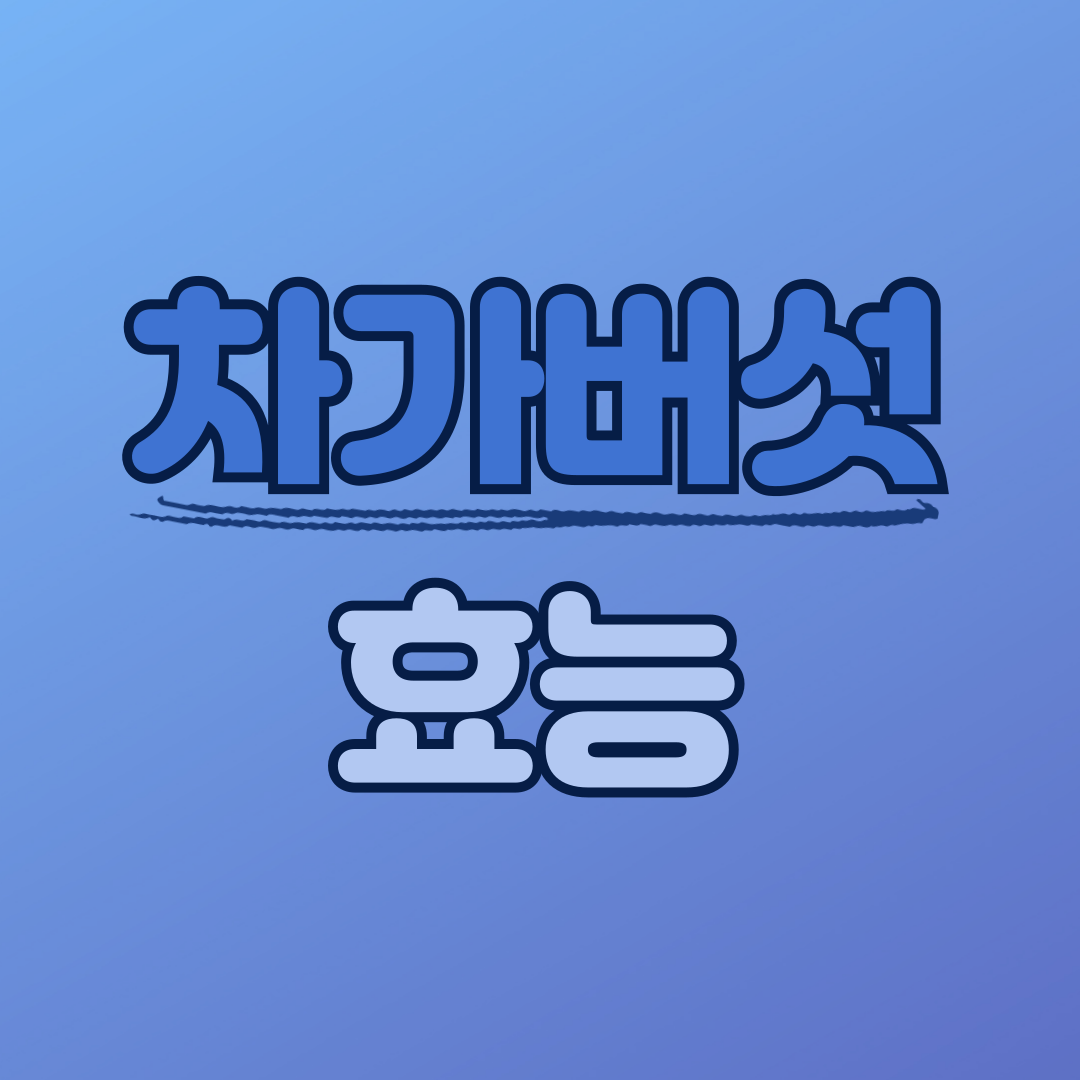 차가버섯 효능 차가버섯 끓이는법