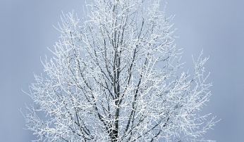 청와대 관람신청 한번에 해결 17