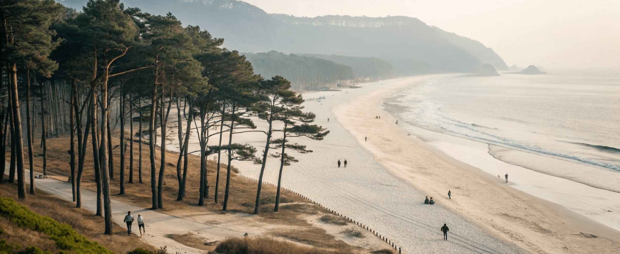 해수욕장 이미지