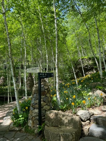 화담숲예약하기