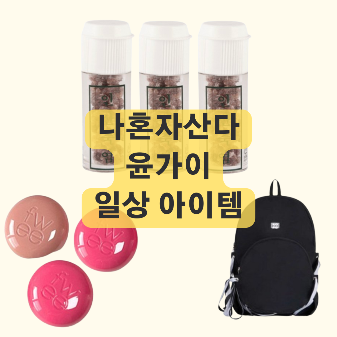 나혼자산다 윤가이 아이템 죽염, 립앤치크, 가방 정보
