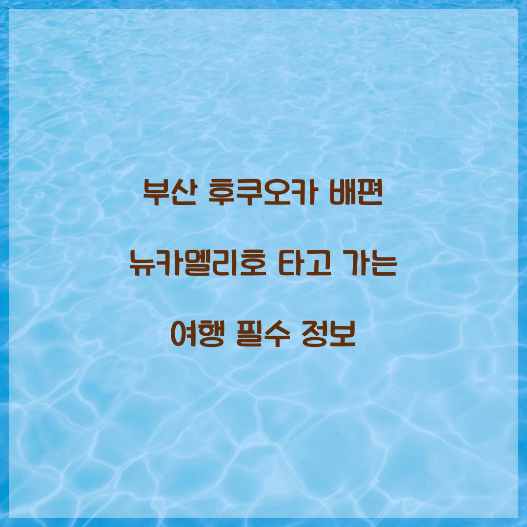 부산 후쿠오카 배편 뉴카멜리호