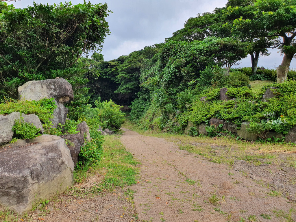 성읍 녹차 동굴 내려가는 길