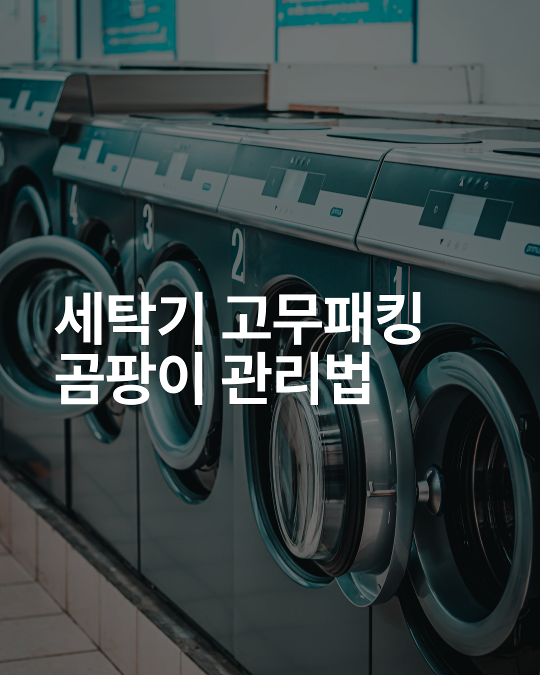 세탁기 고무패킹 곰팡이 관리법