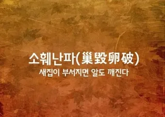 소훼난파 뜻 둥지가 무너지면 알이 깨어진다 명언_16