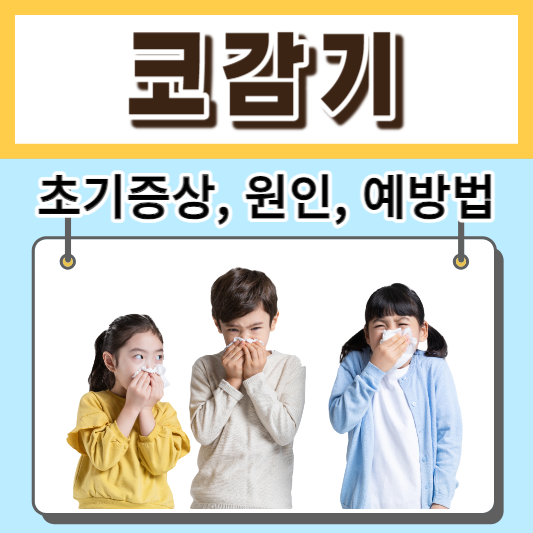 코감기-초기증상-원인-예방법