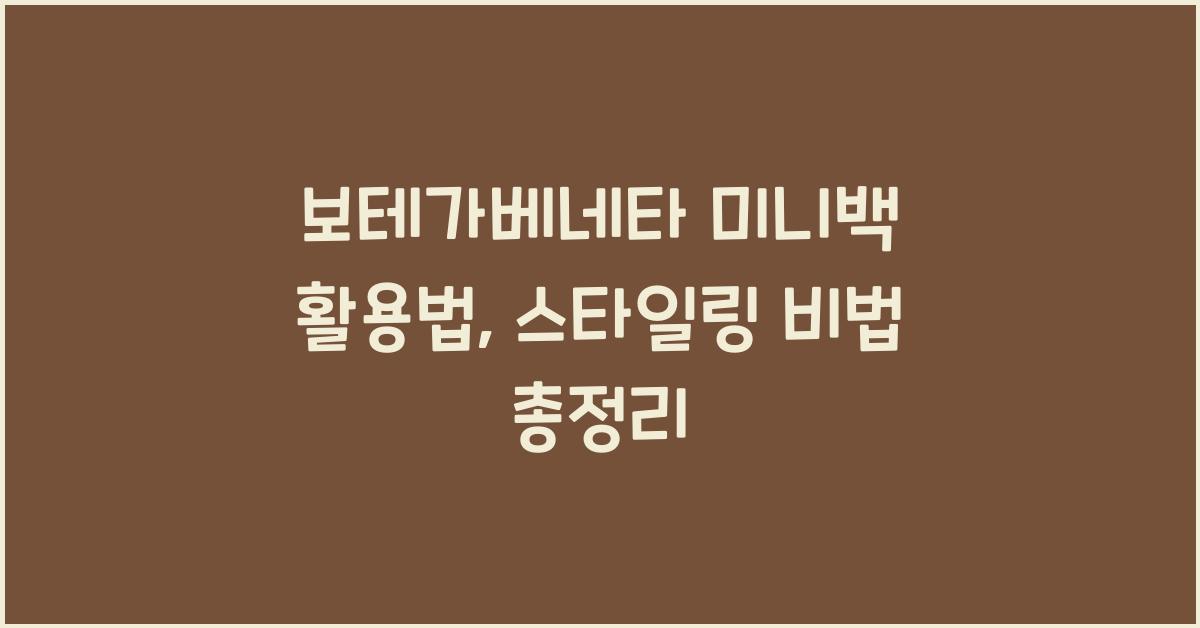 보테가베네타 미니백 활용법