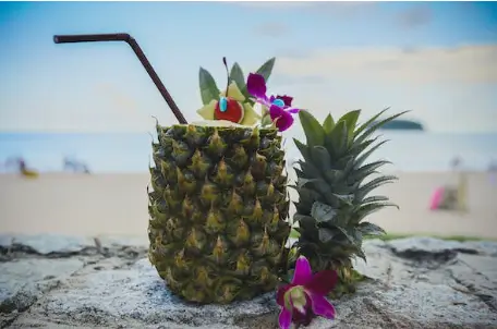 한국인이 많이 찾는 겨울 해외여행지