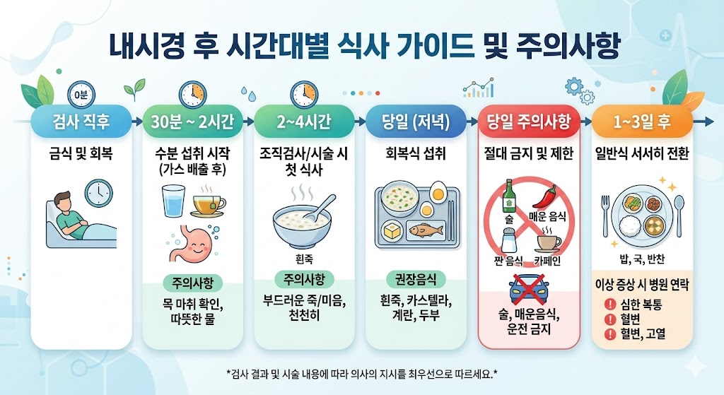 대장 내시경 후 시간별 식사 가이드 및 금기 사항 요약 차트