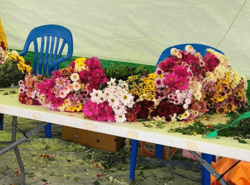 2023-서산국화축제