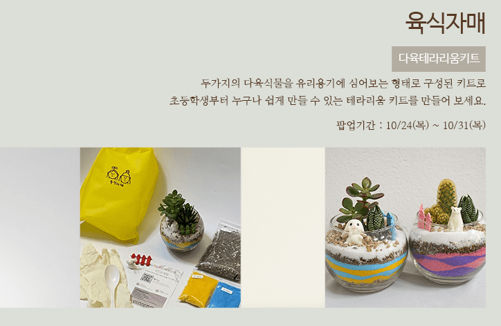 2024 곤지암 화담숲 예약 단풍시기 입장료 모노레일 화담채 