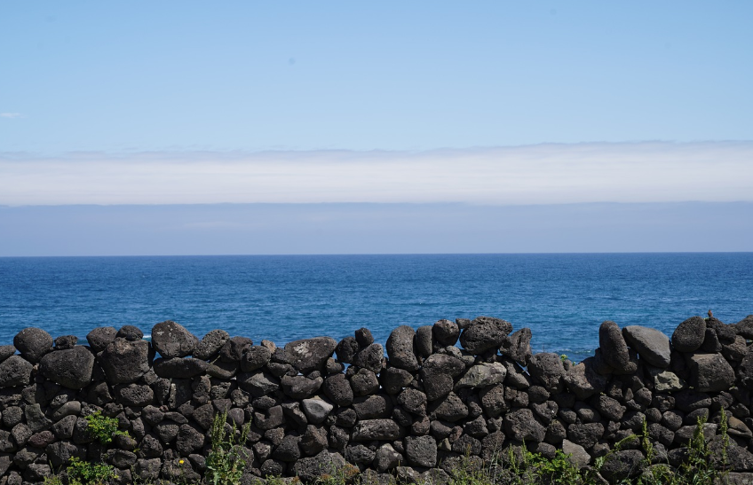 제주 한 달 살기 관련 사진