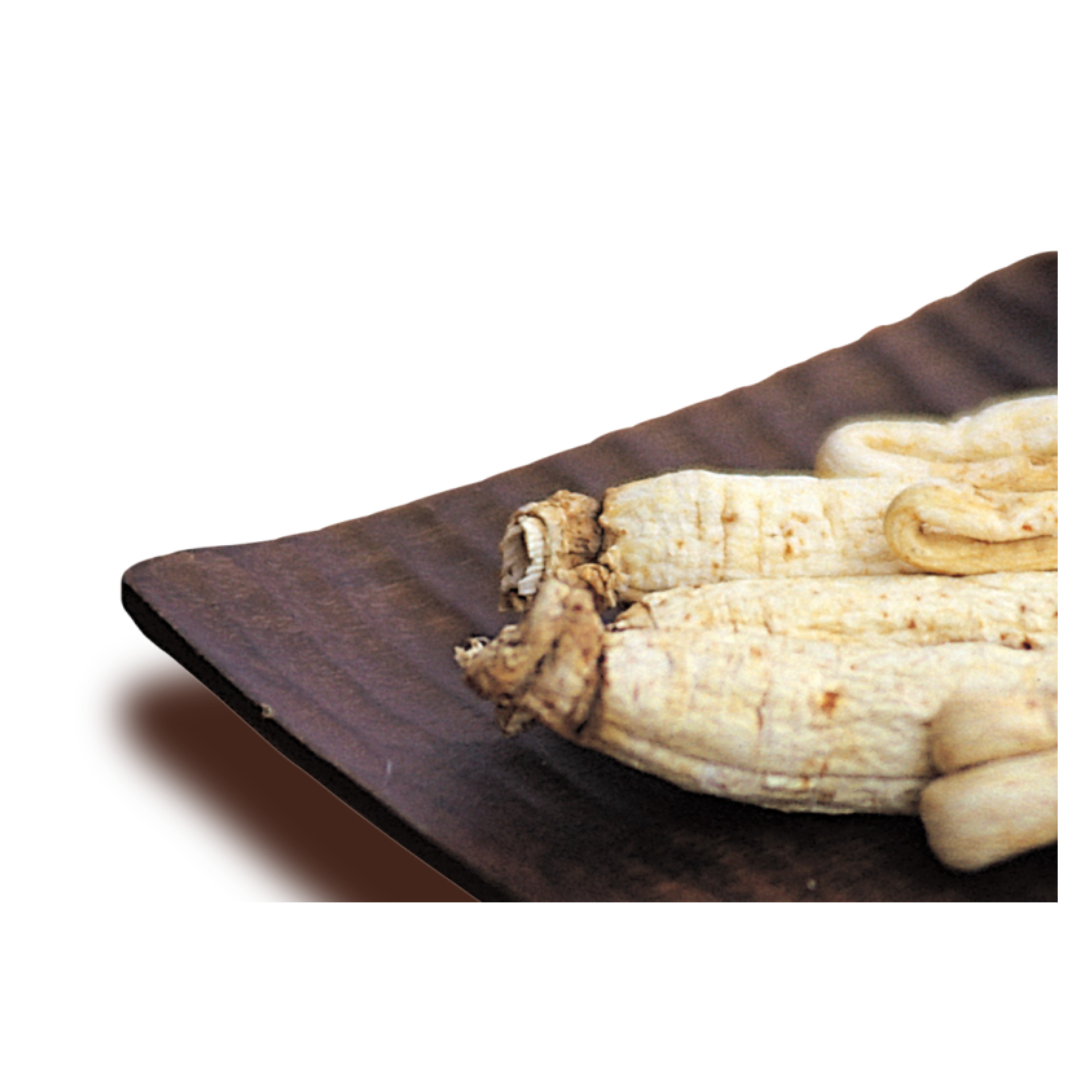 공진단과 관련된 사진입니다.