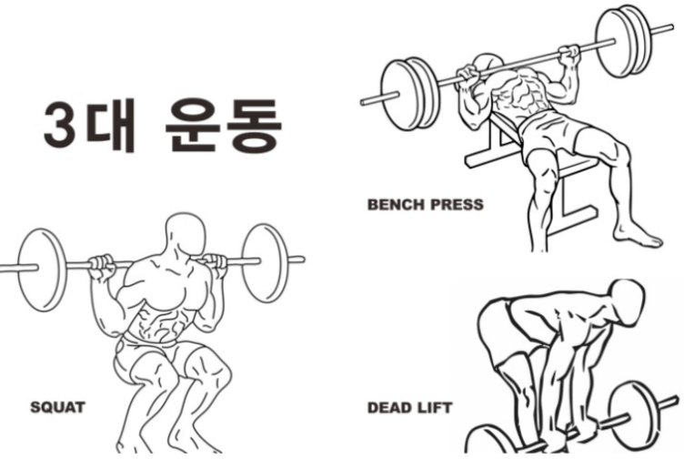 3대 운동을 수행하는 모습