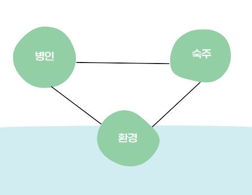 병인, 숙주, 환경이삼각형을 이루고 있는 그림