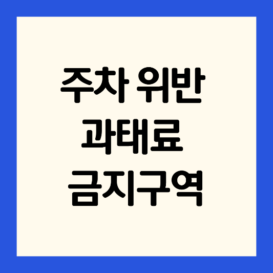주차-위반-과태료-금지-구역