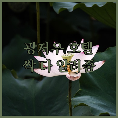 광저우 호텔 완벽 분석! 에칵 hl ..
