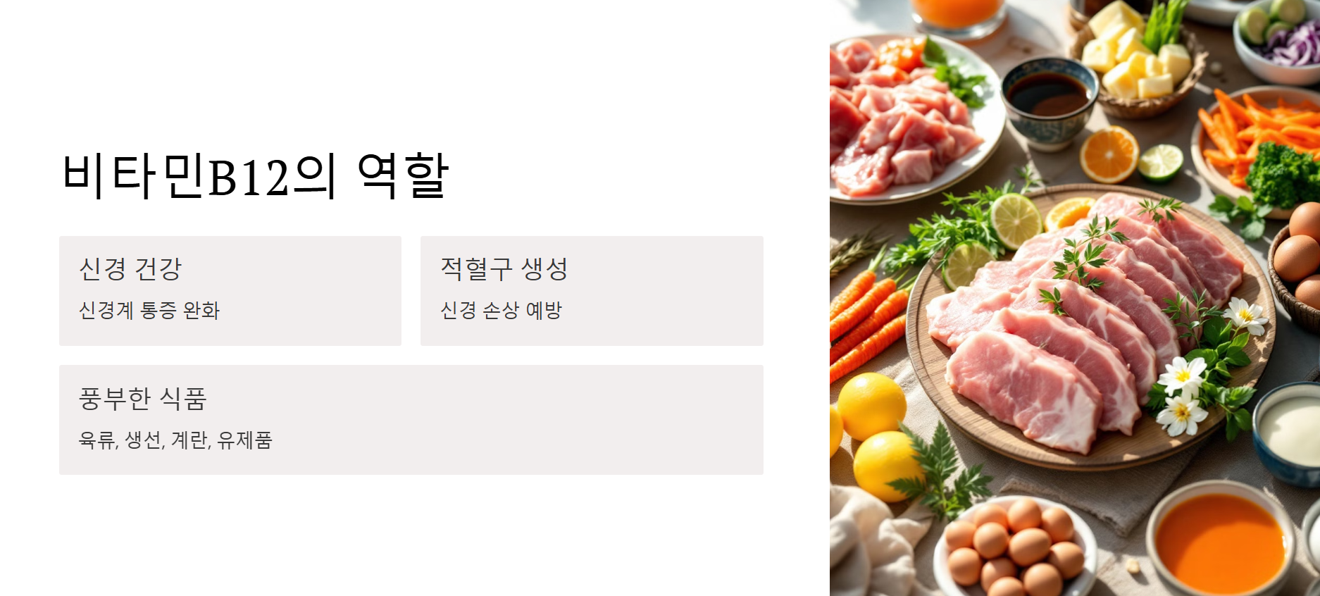 비타민B12의 역할