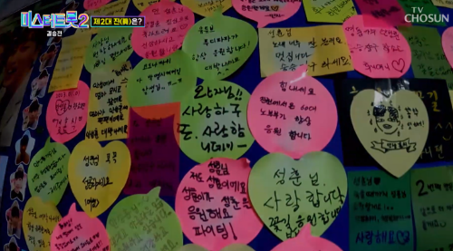 안성훈-팬의-응원메시지