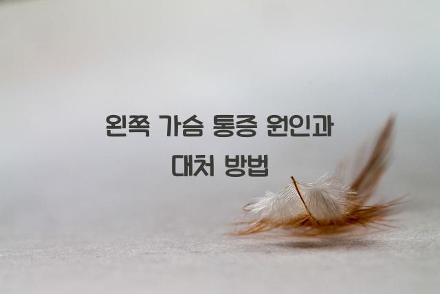 왼쪽 가슴 통증 원인