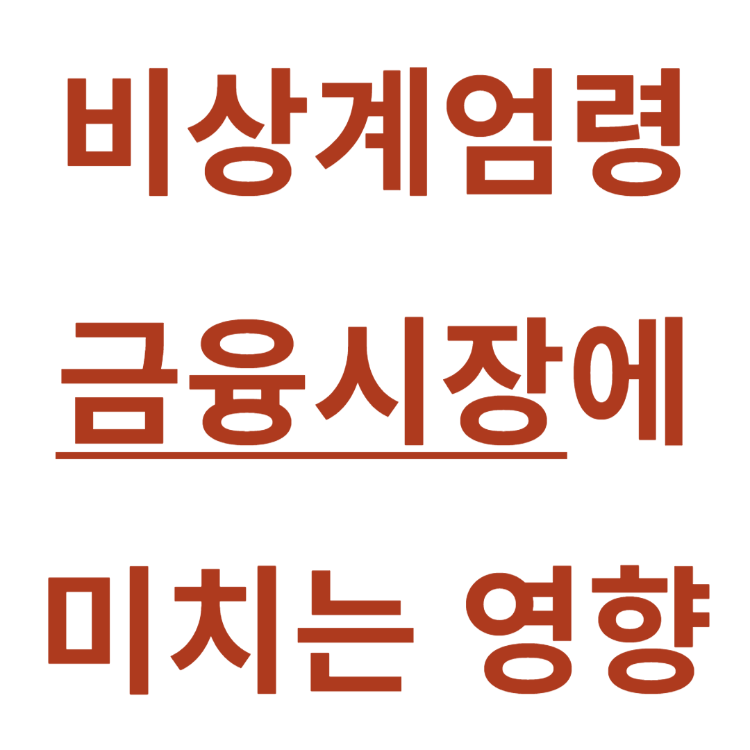 비상계엄령 금융시장에 미치는 영향