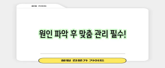 고양이 설사 해결법 증상 완화와 예방이 중요합니다