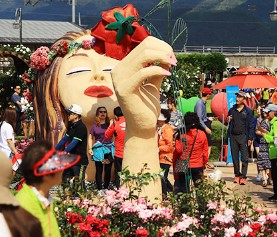 곡성 장미축제