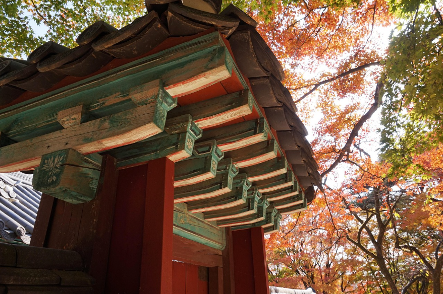 경주여행 관련 사진