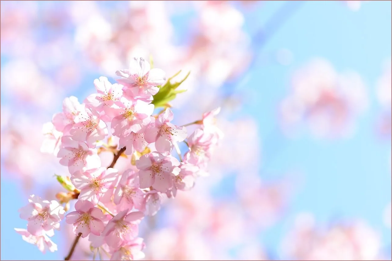 우리은행 예금금리