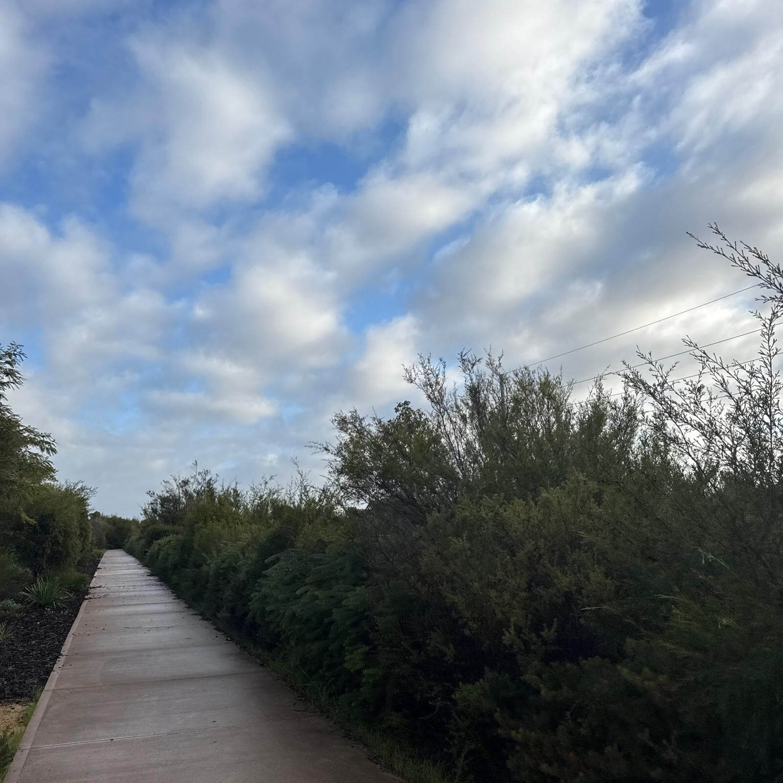 40대 건강루틴 5km 러닝