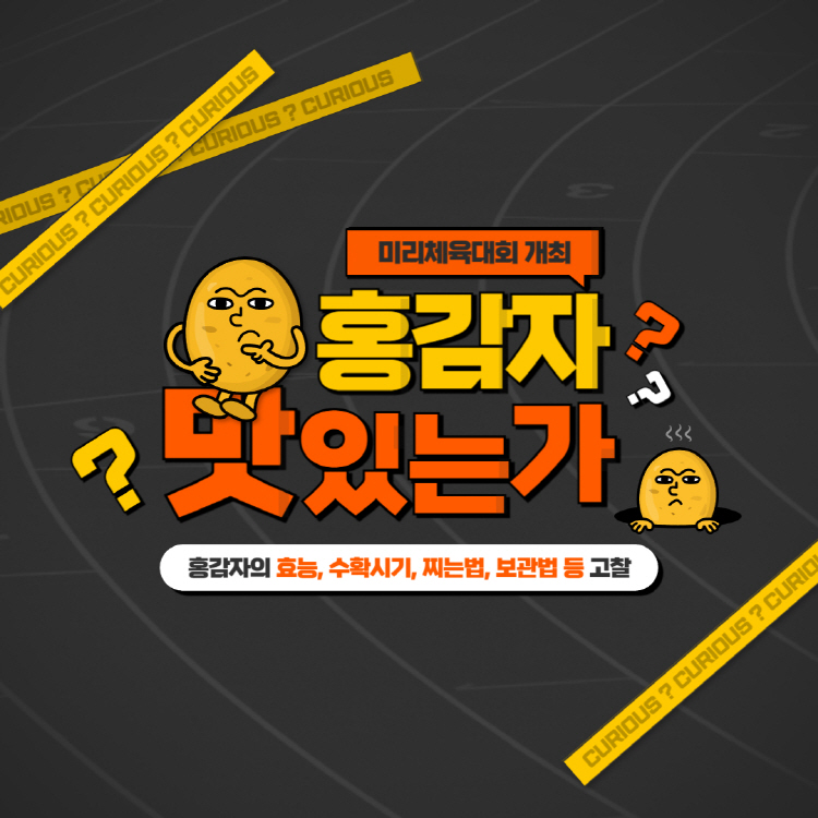 홍감자 효능 수확시기 찌는법 완벽정리(+홍감자 보관법 칼로리 요리)