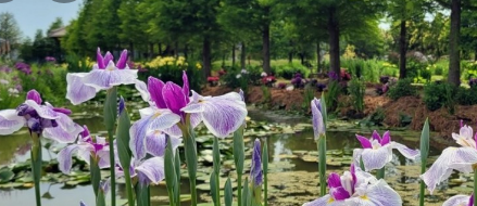 태안 청산수목원 여행지