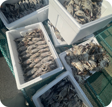 6시 내고향 게장 전북 부안 맛집