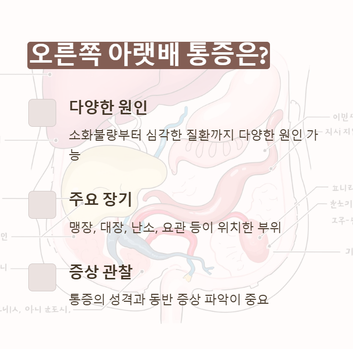 오른쪽 아랫배 통증 의미