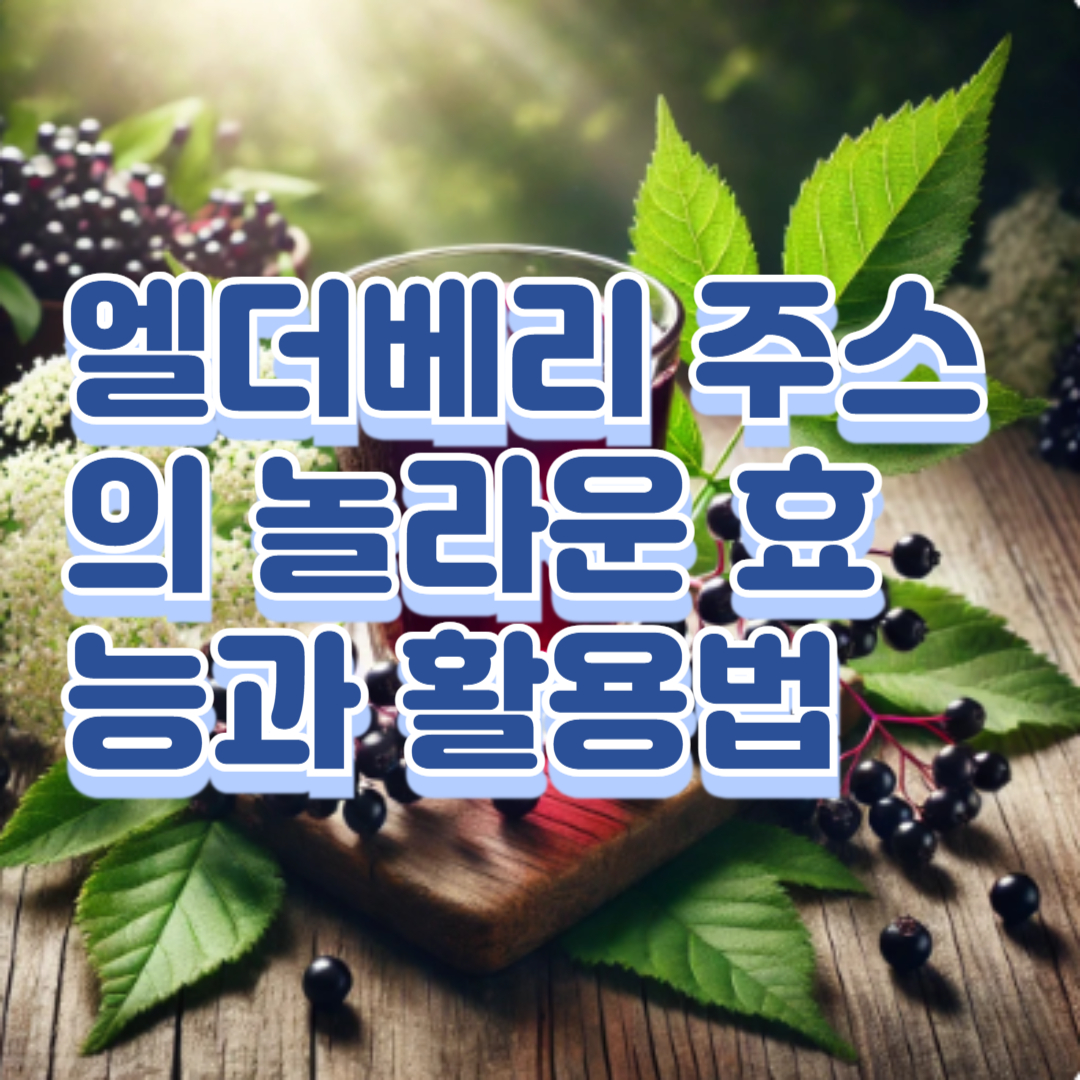 엘더베리 주스의 놀라운 효능과 활용법