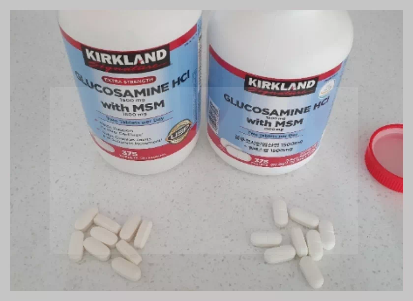 코스트코 글루코사민 vs 일반 약국 제품
