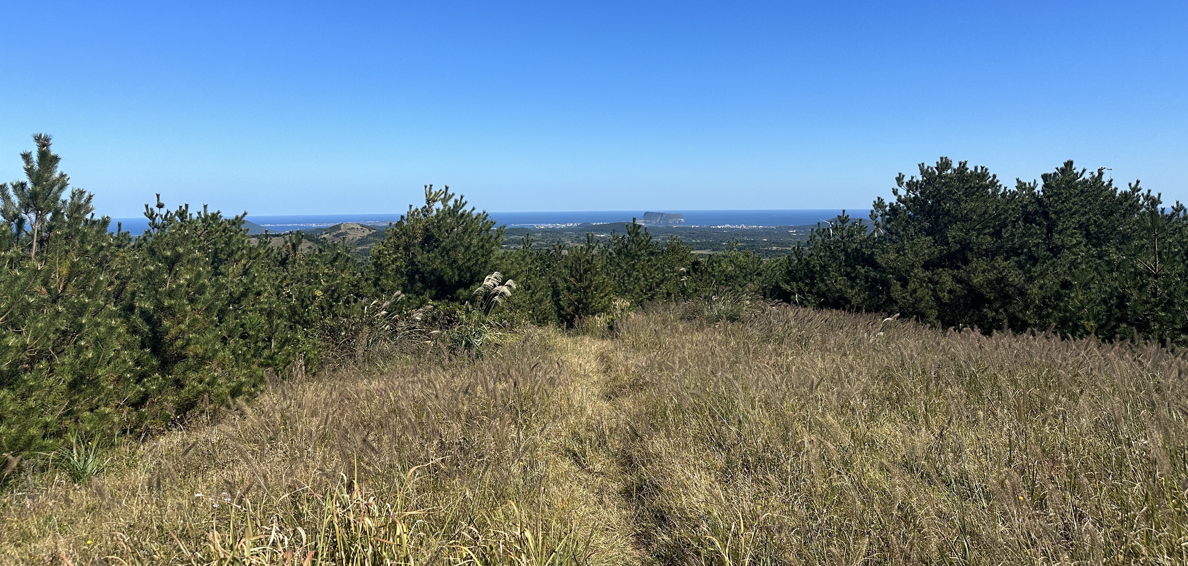 동검은이오름 / 동거문오름 내려가는길