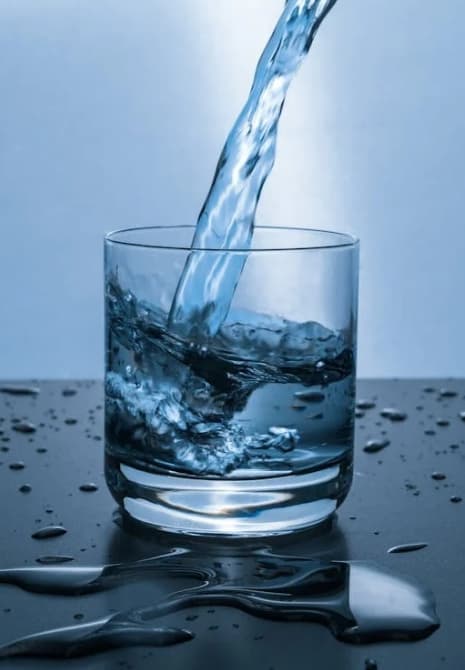 면역력과 수분 섭취