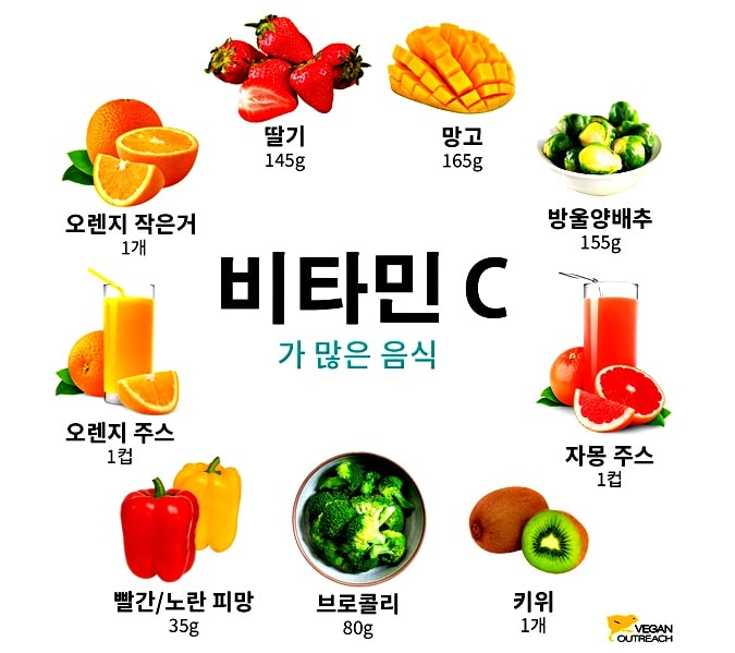 비타민-C가-풍부한-과일과-채소