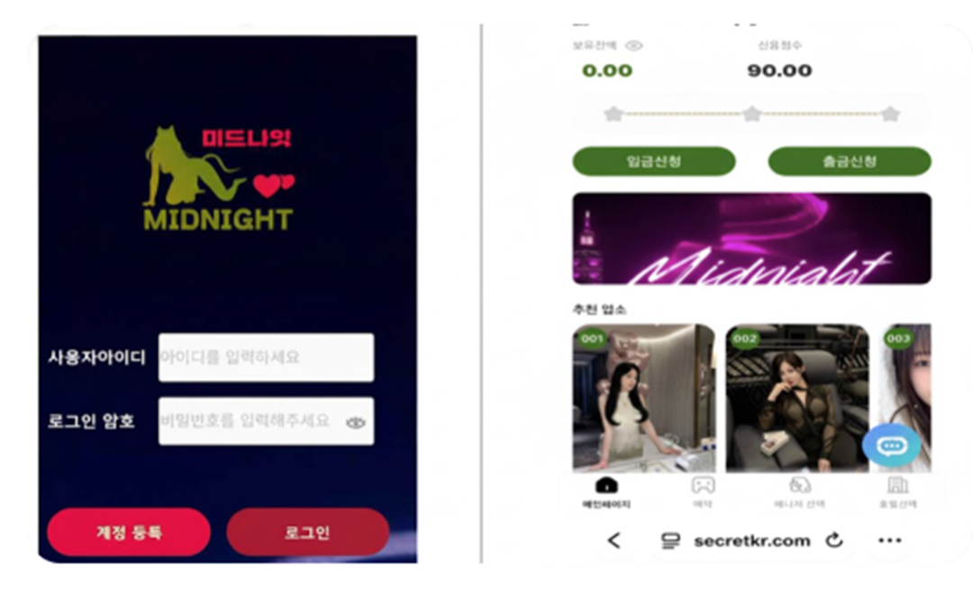 사기범들의 역할