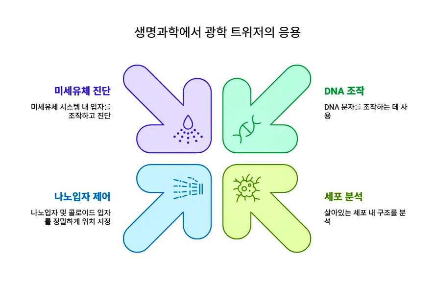 생명과학에서 광학 트위저 응용