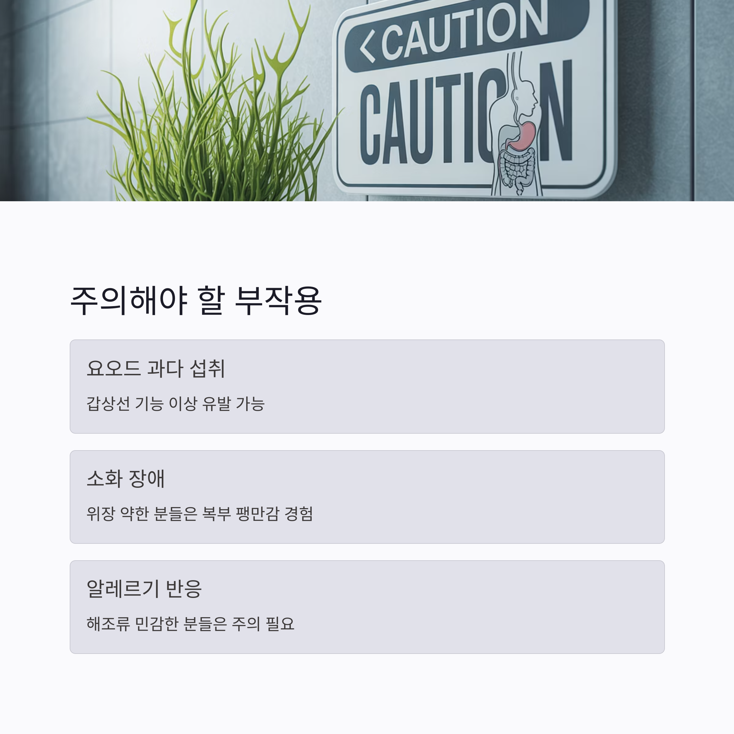 주의할점-부작용