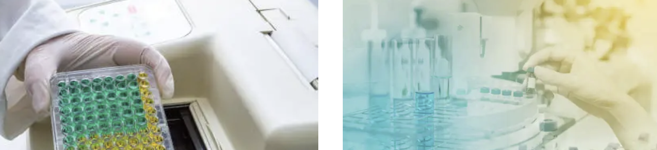 Biologics LC-MS/MS 분석과 ELISA 비교: 항체 정량의 새로운 대안