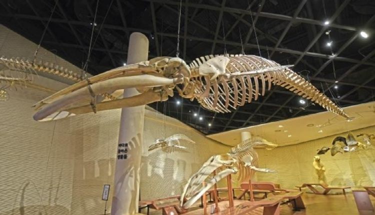 국립해양생물자원관