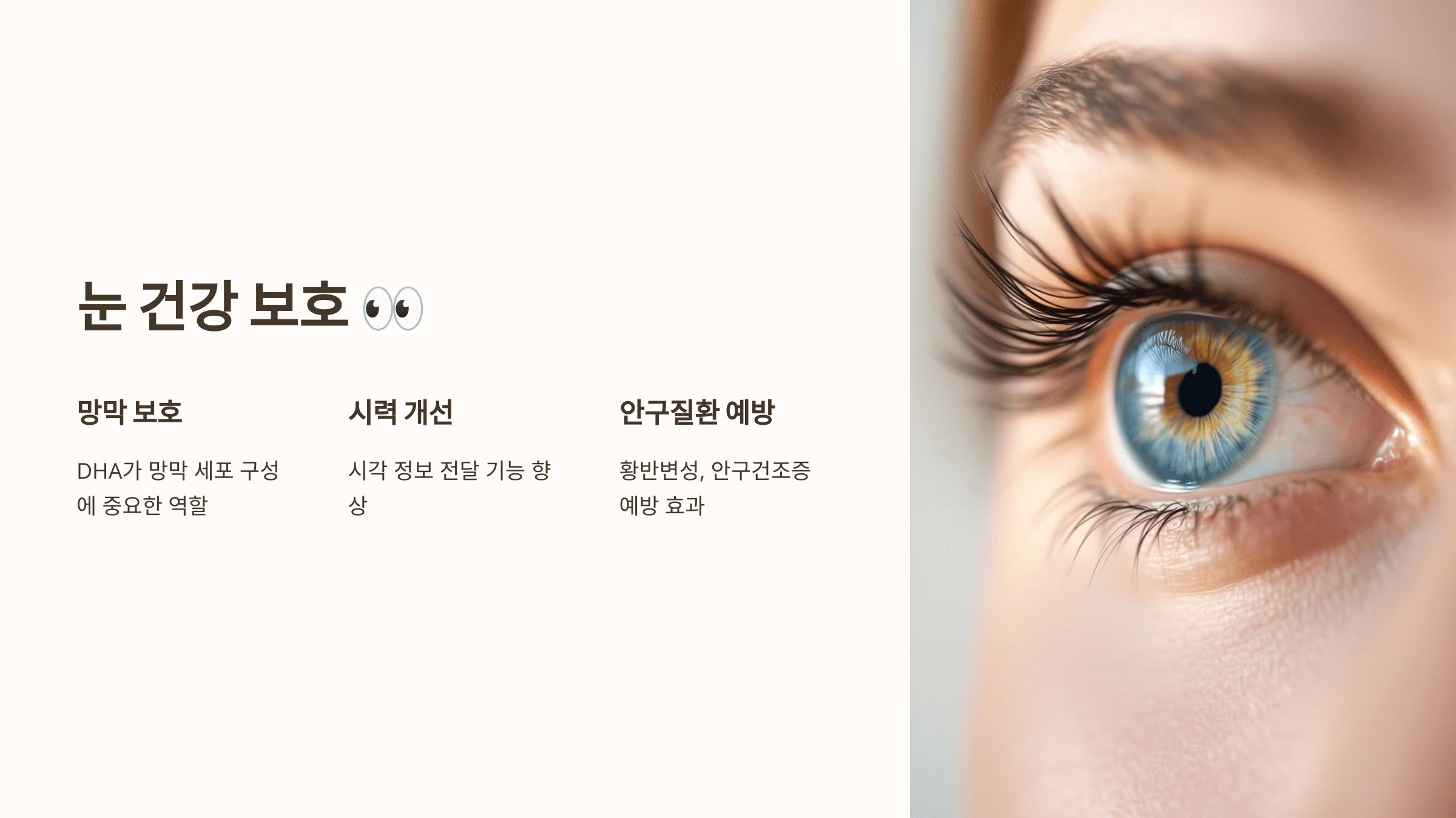 오메가3와 관련된 사진입니다.