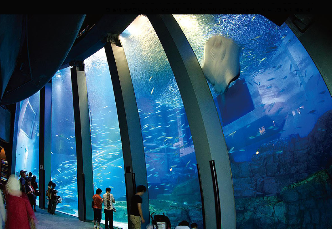 도쿄 에도가와구 여행: 가사이 린카이 공원과 씨파라다이스 탐방기