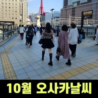 2025년 10월 한국의 날씨 예보 정보_23
