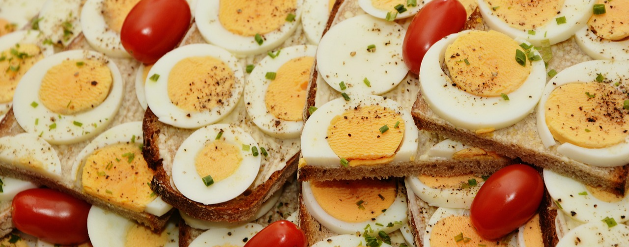 통풍에 좋은 단백질