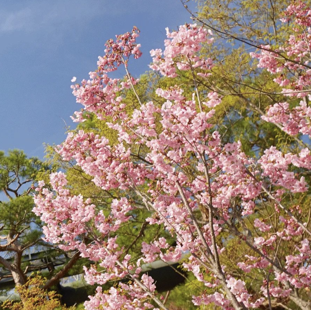 화담숲 홈페이지 예약